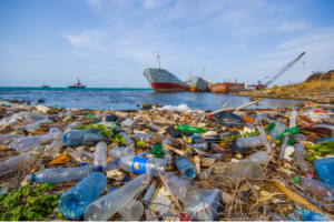 Чем опасен пластик для вод океана?