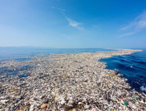 Чем опасен пластик для вод океана?